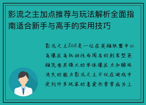 影流之主加点推荐与玩法解析全面指南适合新手与高手的实用技巧